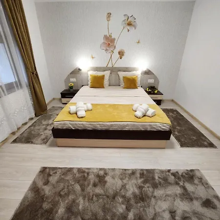 за гости криси гр.