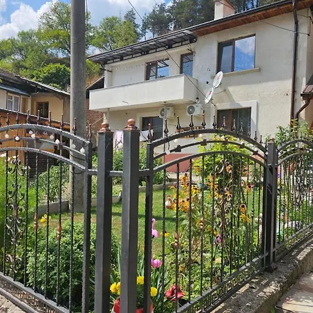 за гости криси гр. Dövlen